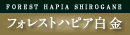 �t�H���X�g�n�s�A����