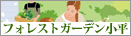 �t�H���X�g�K�[�f������