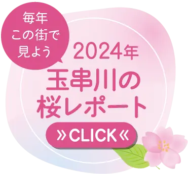 2024年玉串川の桜レポート〉〉 CLICK〈〈