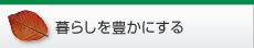 ��炵���y����