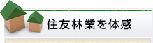 住友林業を体感