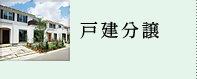 戸建分譲
