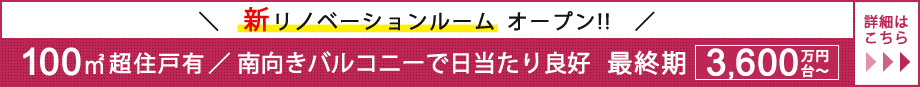 最終期 3,900万円台~ 100㎡超住戸有 / 南向きバルコニーで日当たり良好