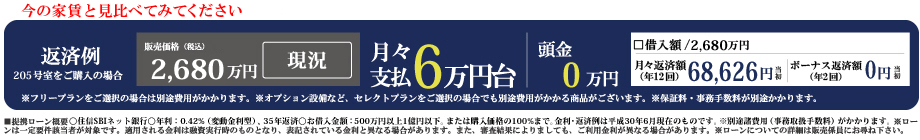 月々のお支払い例