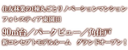 P STYLE PROJECT