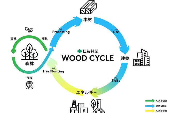 WOOD CYCLE