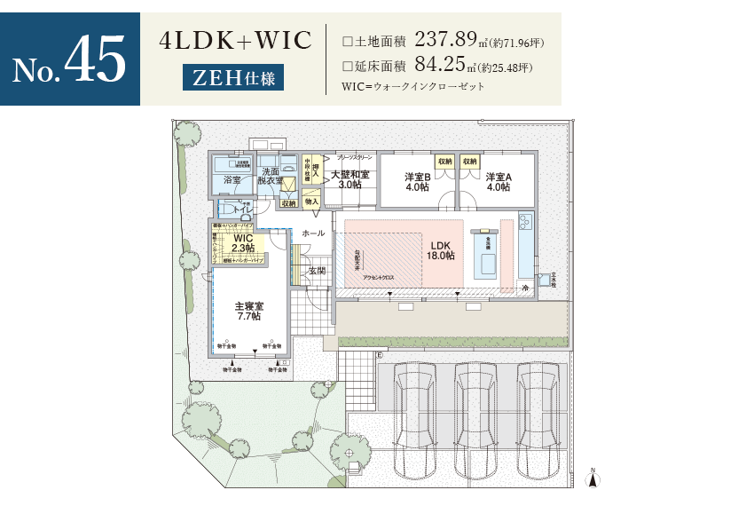 45号棟