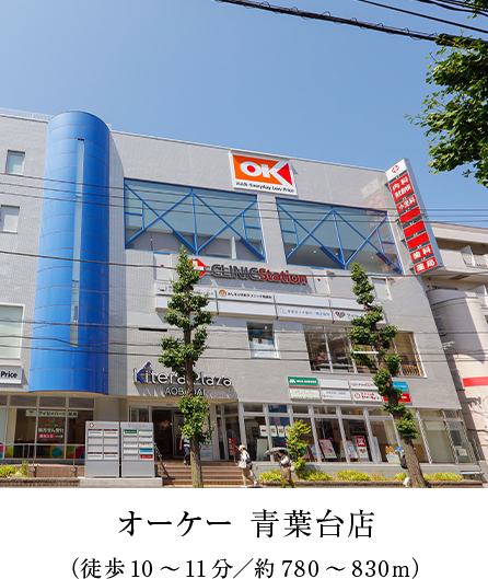 オーケー 青葉台店 外観