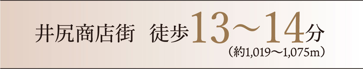 分数