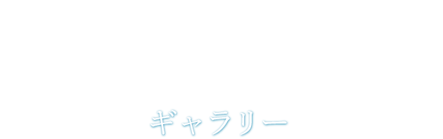 Gallery ギャラリー