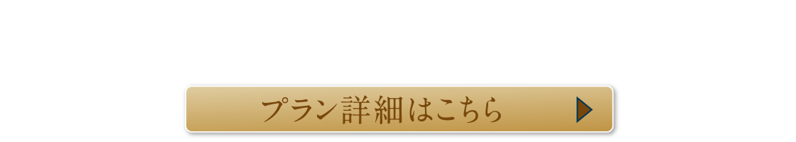 返済額月々8万円台〜プラン詳細はこちら