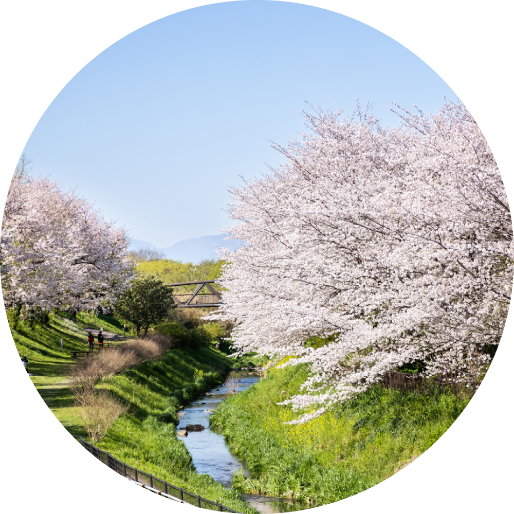 相模三川公園
