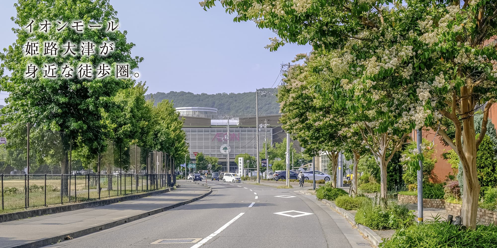 イオンモール姫路大津が徒歩圏