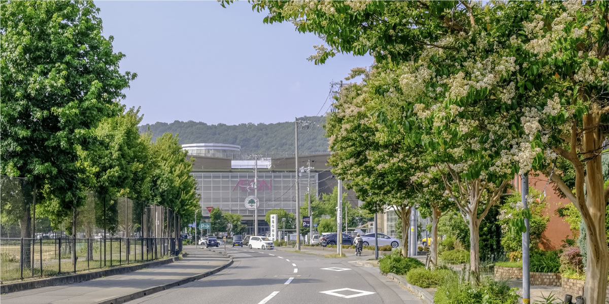 半径800m圏内に生活利便施設や大型ショッピング施設が点在。