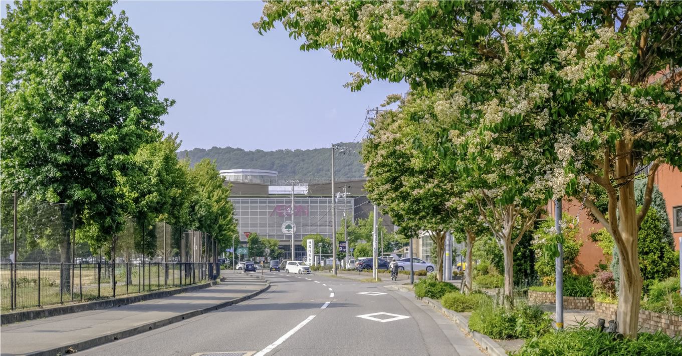 Location