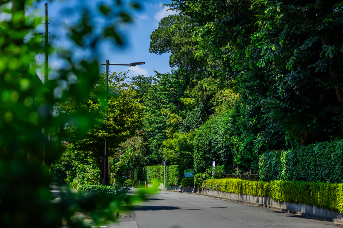 下保谷四丁目特別緑地保全地区