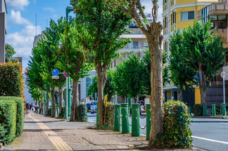 現地周辺の街並み