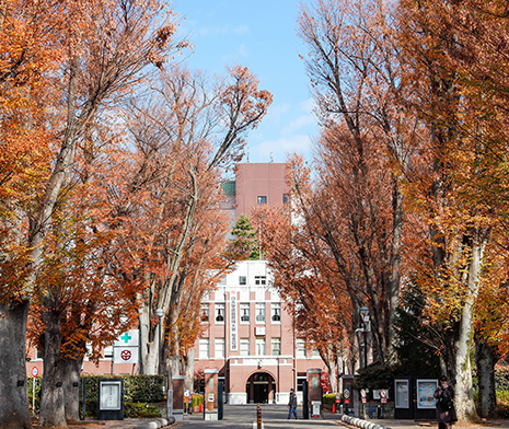 成蹊大学(約2.8km分)