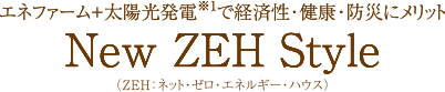 エネファーム+太陽光発電で経済性・健康・防災にメリットNEW ZEH Style