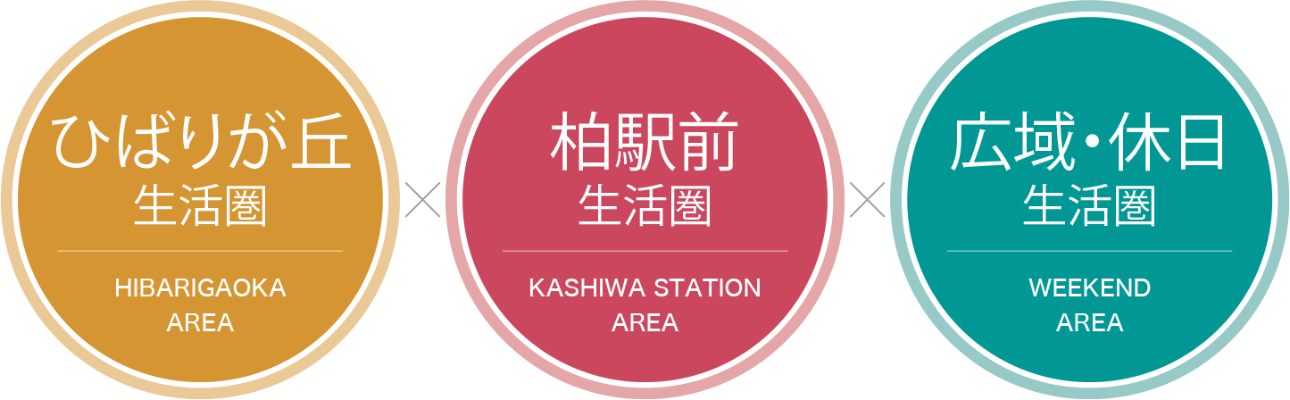 ひばりが丘生活圏×柏駅前生活圏×広域・休日生活圏