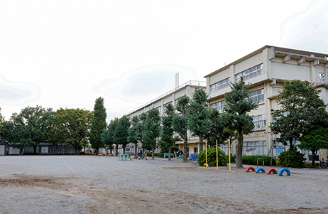 柏第八小学校