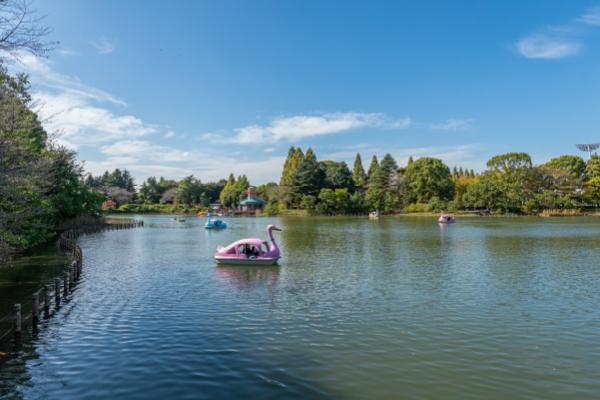 千葉県立柏の葉公園