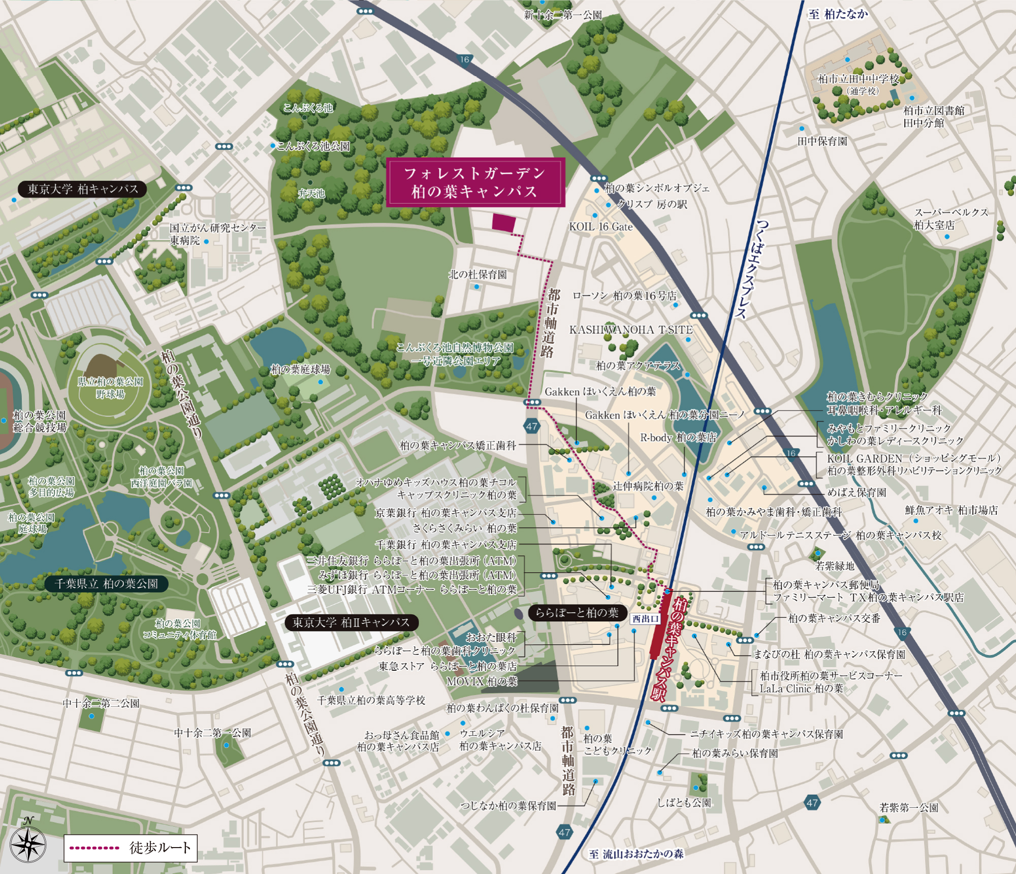 文化・スポーツ