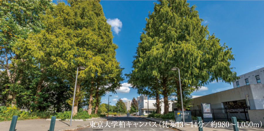 東京大学柏キャンパス