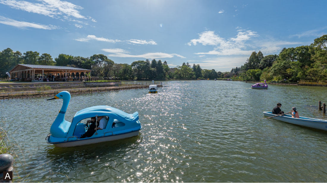 千葉県立柏の葉公園