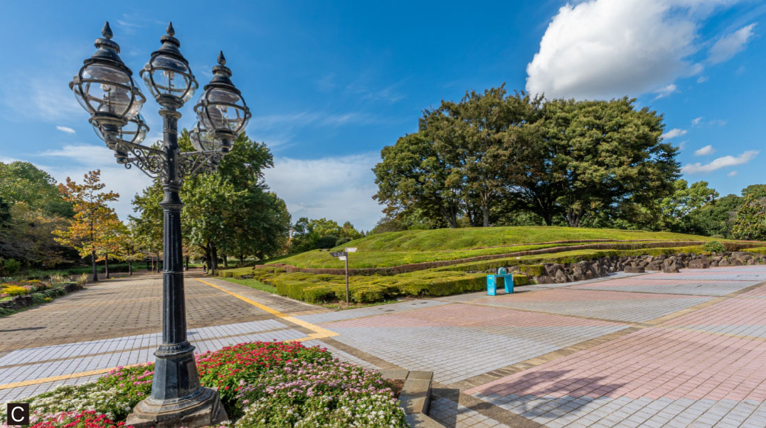千葉県立柏の葉公園