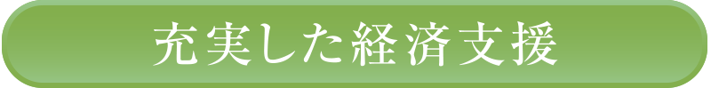 充実した経済支援
