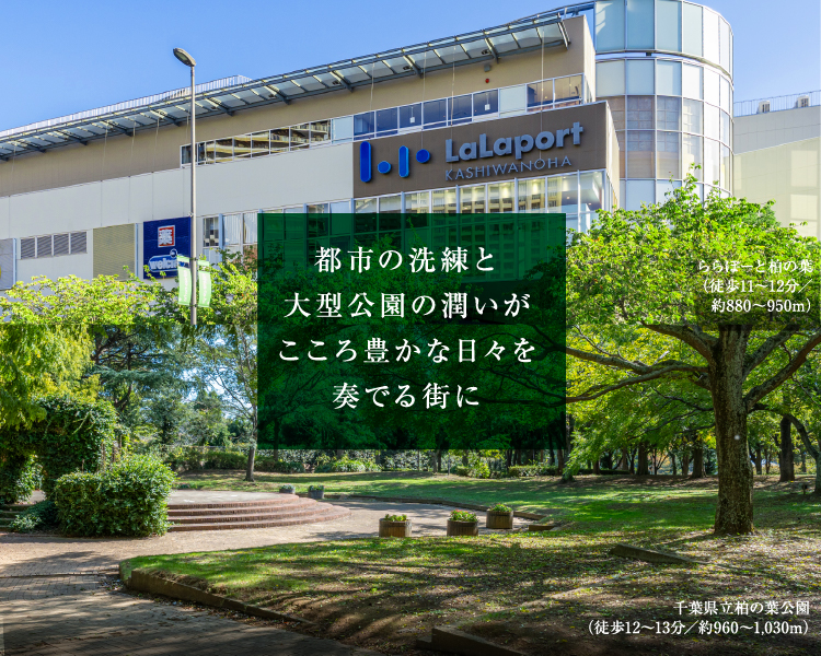 完成予想CG