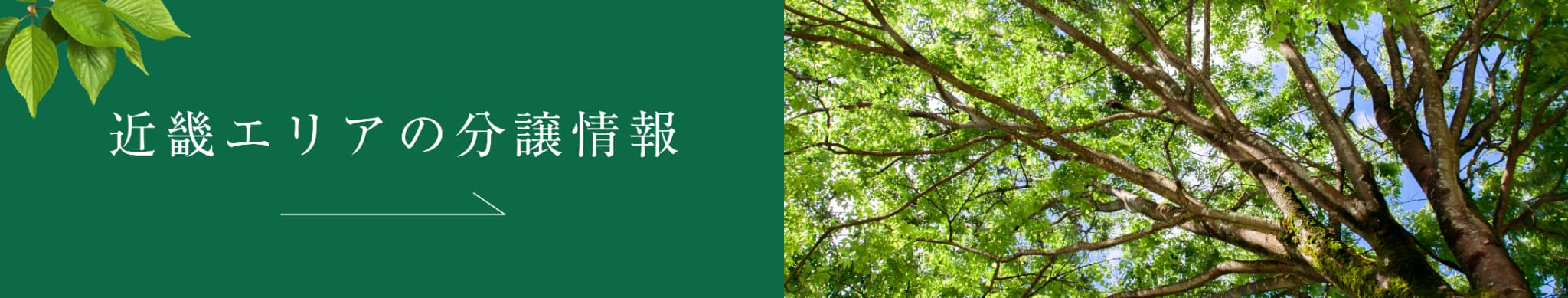 近畿エリアの分譲情報
