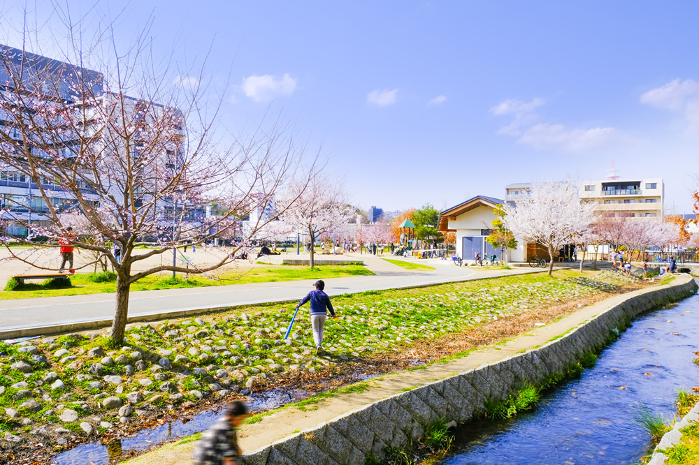 キセラ川西せせらぎ公園