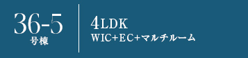 36-5号棟
