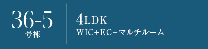 36-5号棟