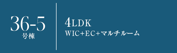 36-5号棟
