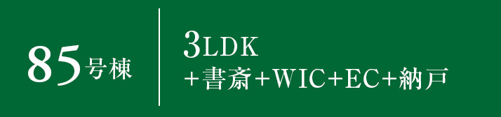 85号棟