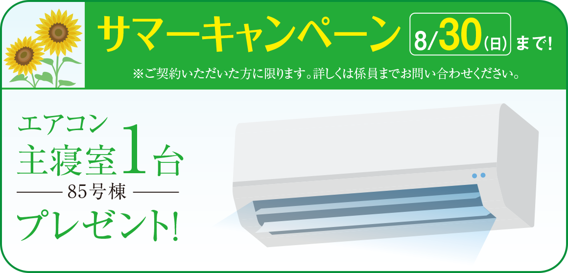サマーキャンペーン