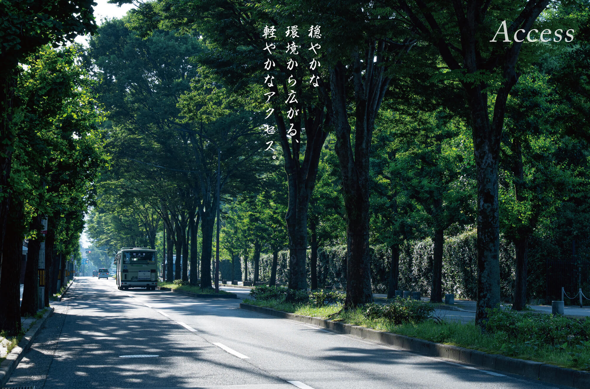 2025年6月撮影 北山通り徒歩14～18分（1,100～1,400m）