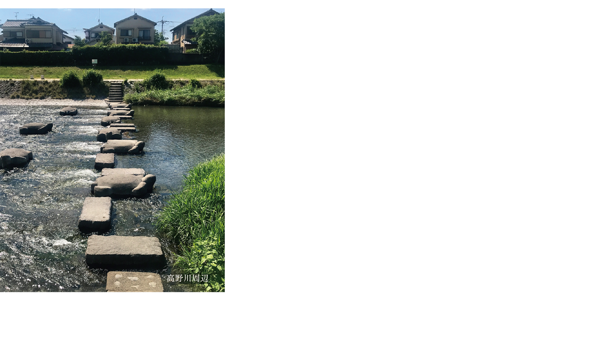 光る水面、めぐみの川