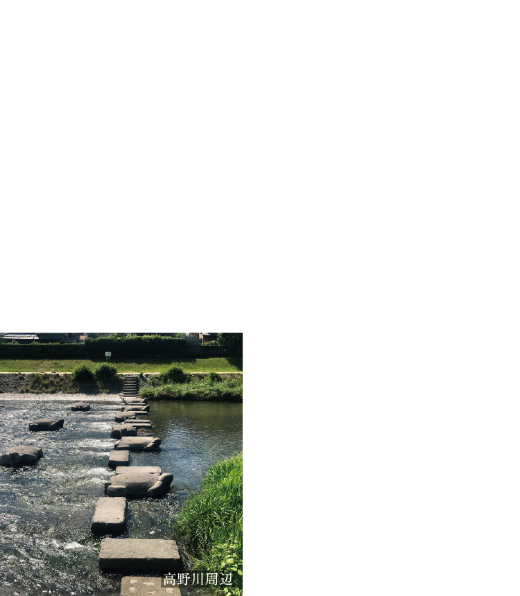 光る水面、めぐみの川