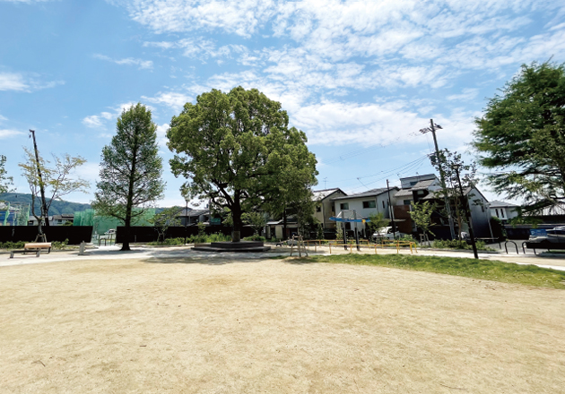 image photo
