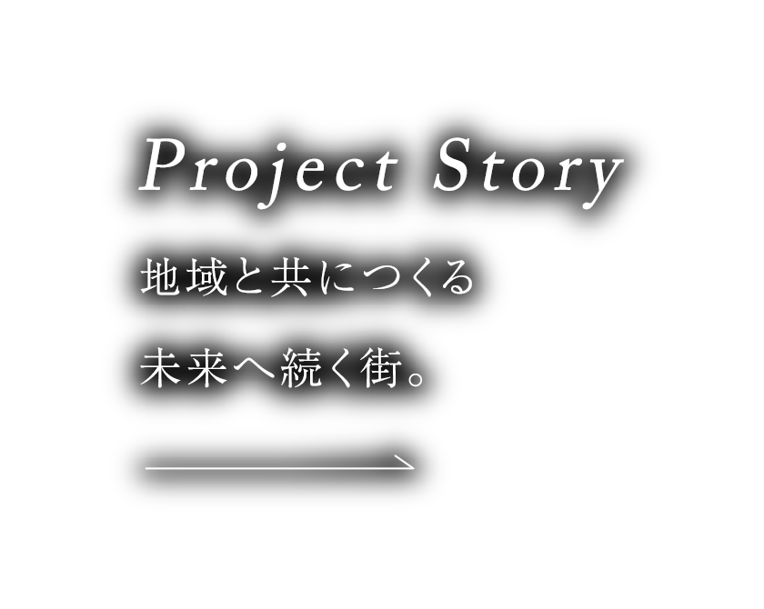 Project Story