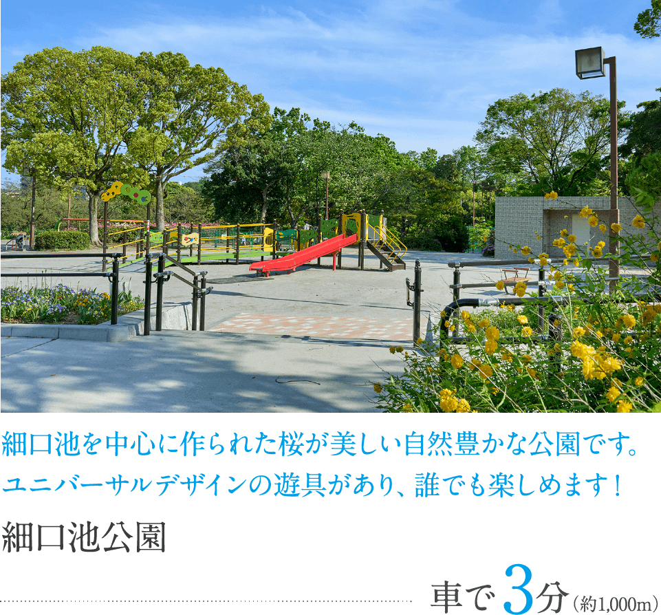 細口池公園