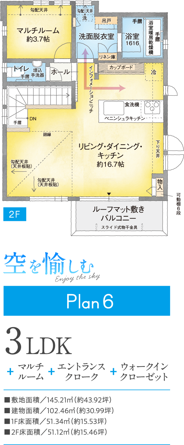 plan6