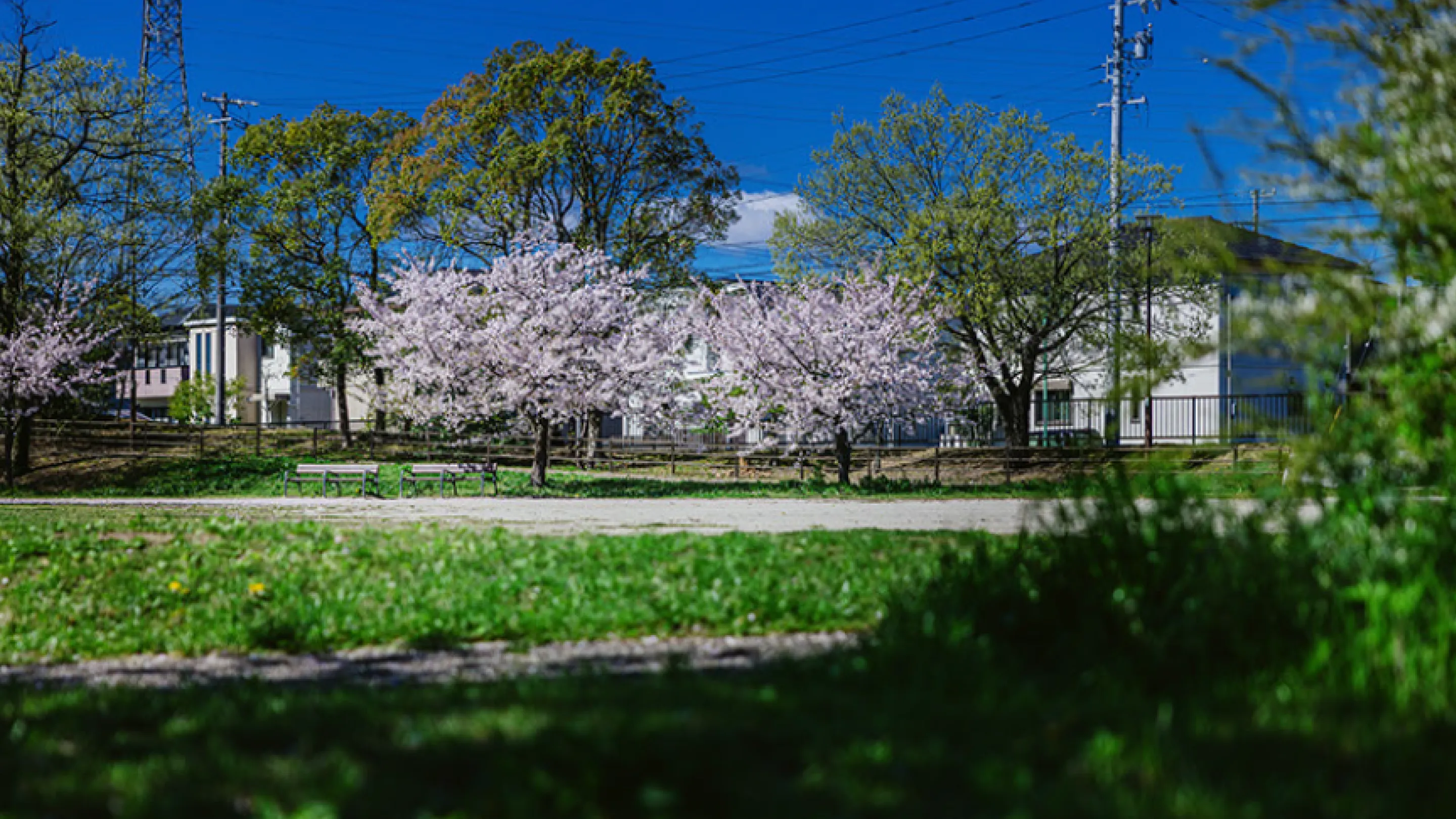 清水山中央公園