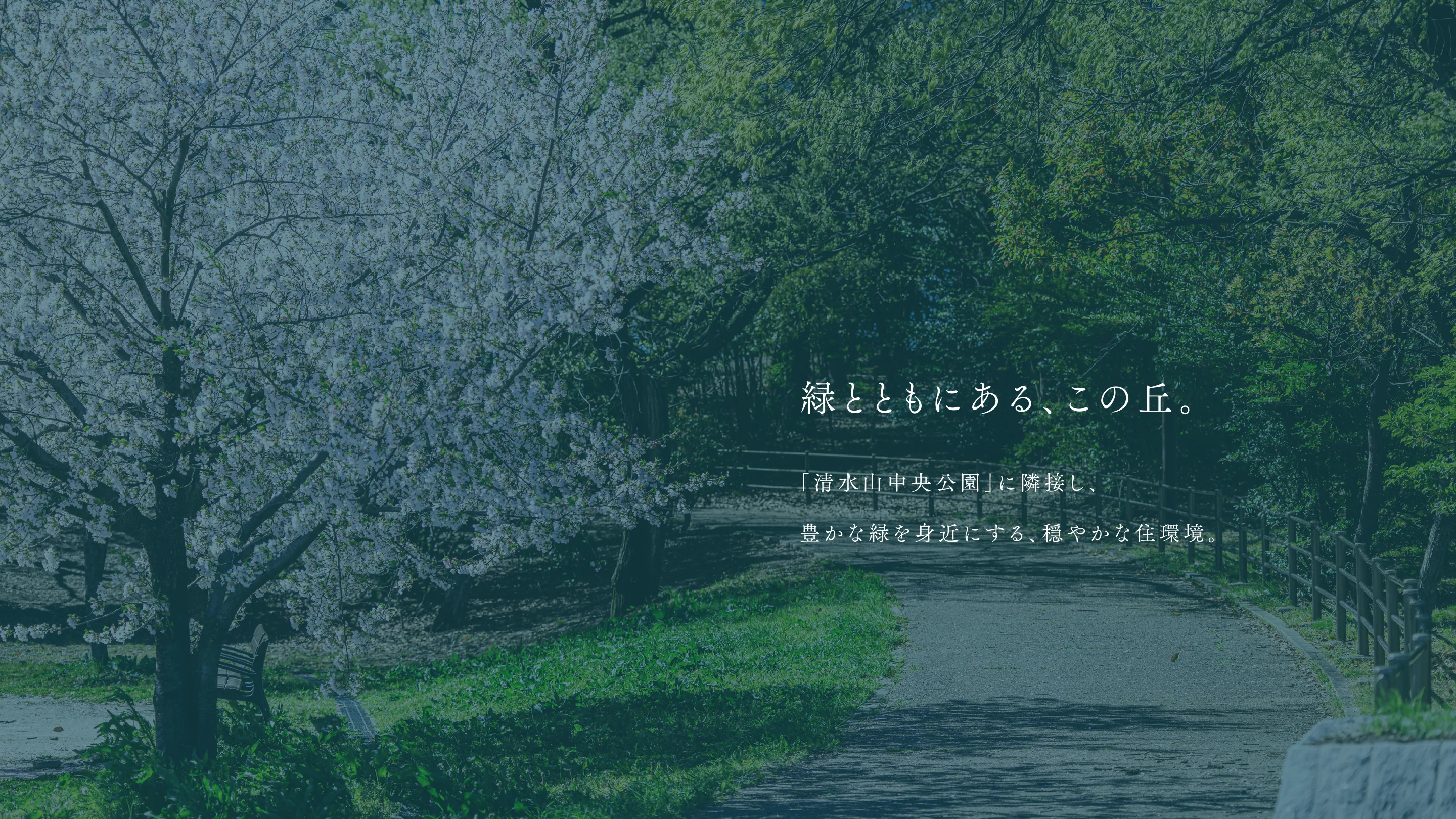 緑とともにある、この丘。 「清水山中央公園」に隣接し、豊かな緑を身近にする、穏やかな住環境。