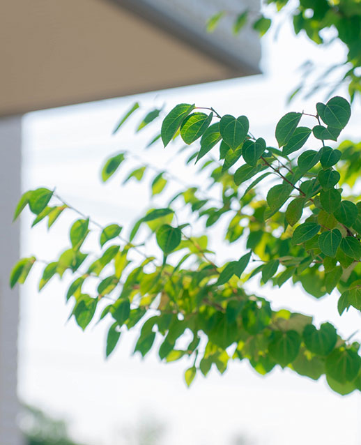 フォレストリータウン南片江 コンセプトimage