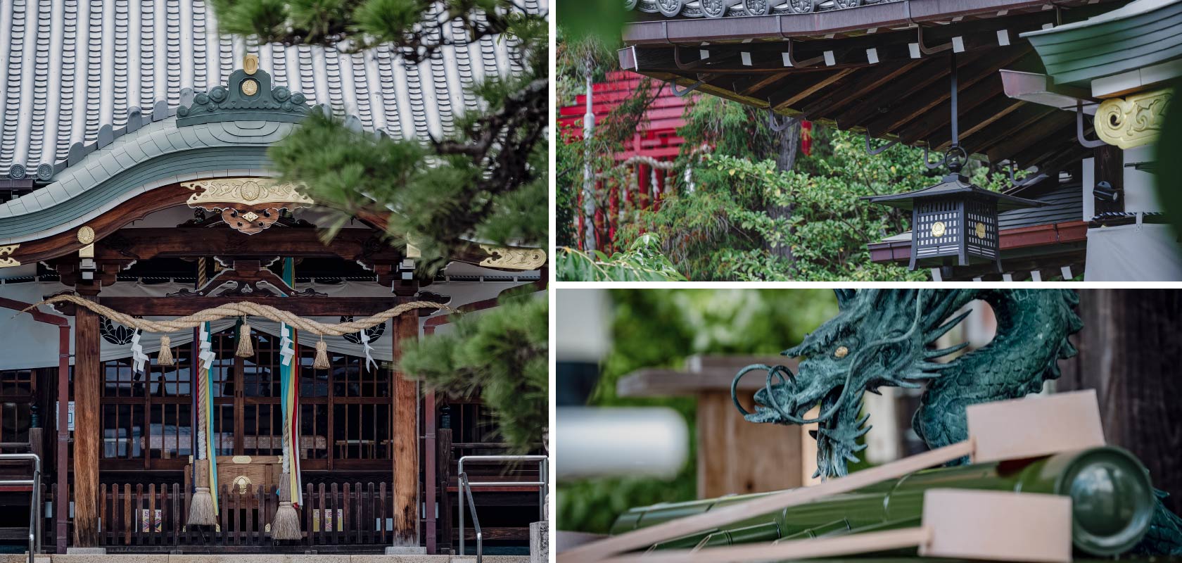 イオンタウン豊中緑丘写真